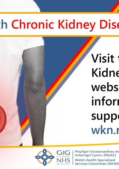 The Welsh Kidney Network website