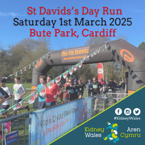 St David&#8217;s Day Run