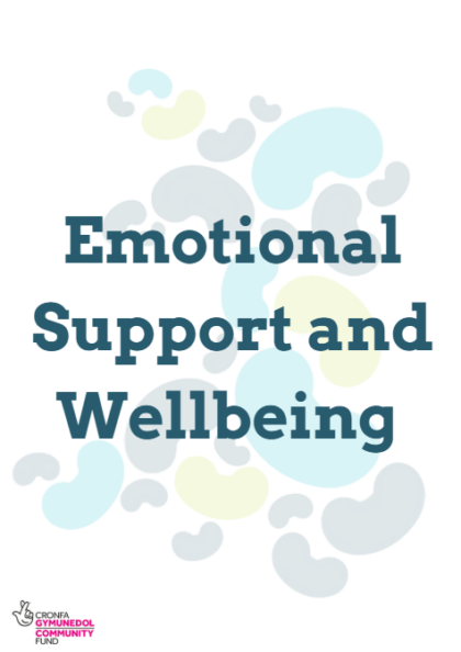 Emotional Support and Wellbeing PDF